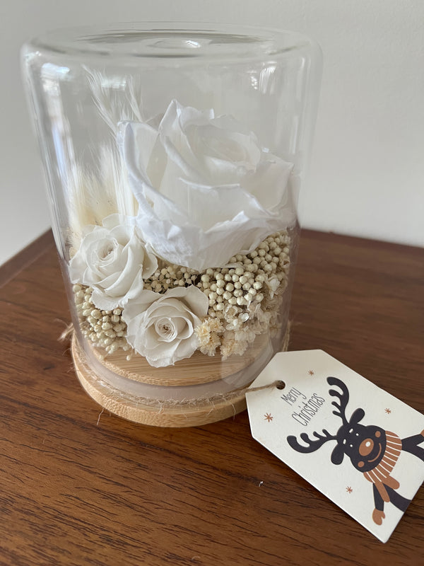The Floral House, Preserved Flowers, Everlasting Flowers, Dried Flowers, Preserved Rose, Glass Dome, White Rose, greeting card
