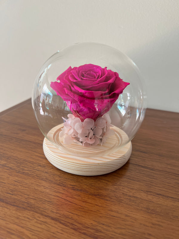 The Floral House, Preserved Flowers, Everlasting Flowers, Dried Flowers, Preserved Rose, Crystal Ball