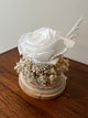 The Floral House, Preserved Flowers, Everlasting Flowers, Dried Flowers, Preserved Rose, Glass Dome, White Rose