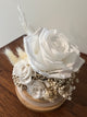 The Floral House, Preserved Flowers, Everlasting Flowers, Dried Flowers, Preserved Rose, Glass Dome, White Rose