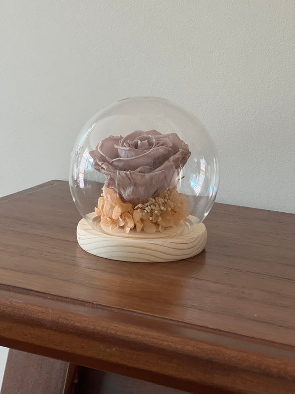 The Floral House, Preserved Flowers, Everlasting Flowers, Dried Flowers, Preserved Rose, Crystal Ball